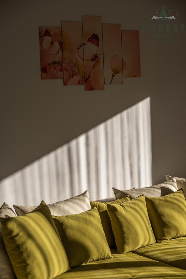 Forest Breeze Apartterrace Brasov Exterior photo