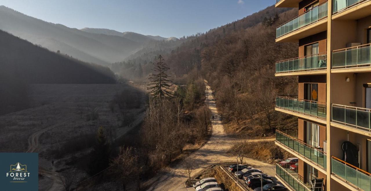 Forest Breeze Apartterrace Brasov Exterior photo