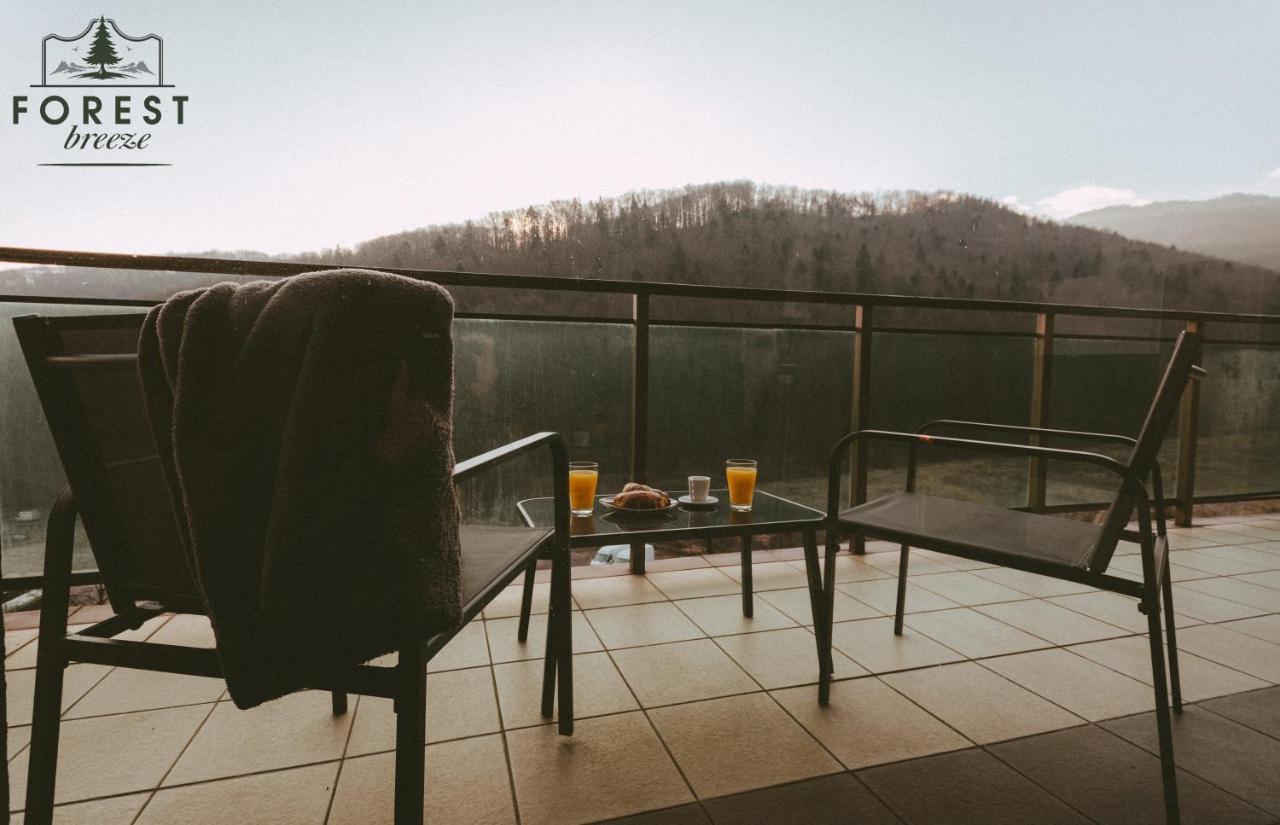 Forest Breeze Apartterrace Brasov Exterior photo