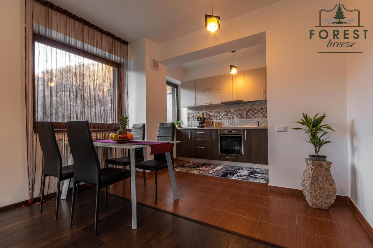 Forest Breeze Apartterrace Brasov Exterior photo