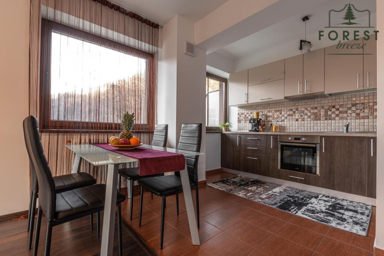 Forest Breeze Apartterrace Brasov Exterior photo