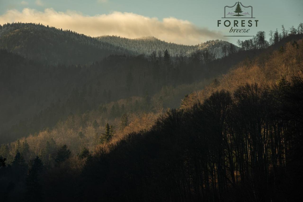 Forest Breeze Apartterrace Brasov Exterior photo