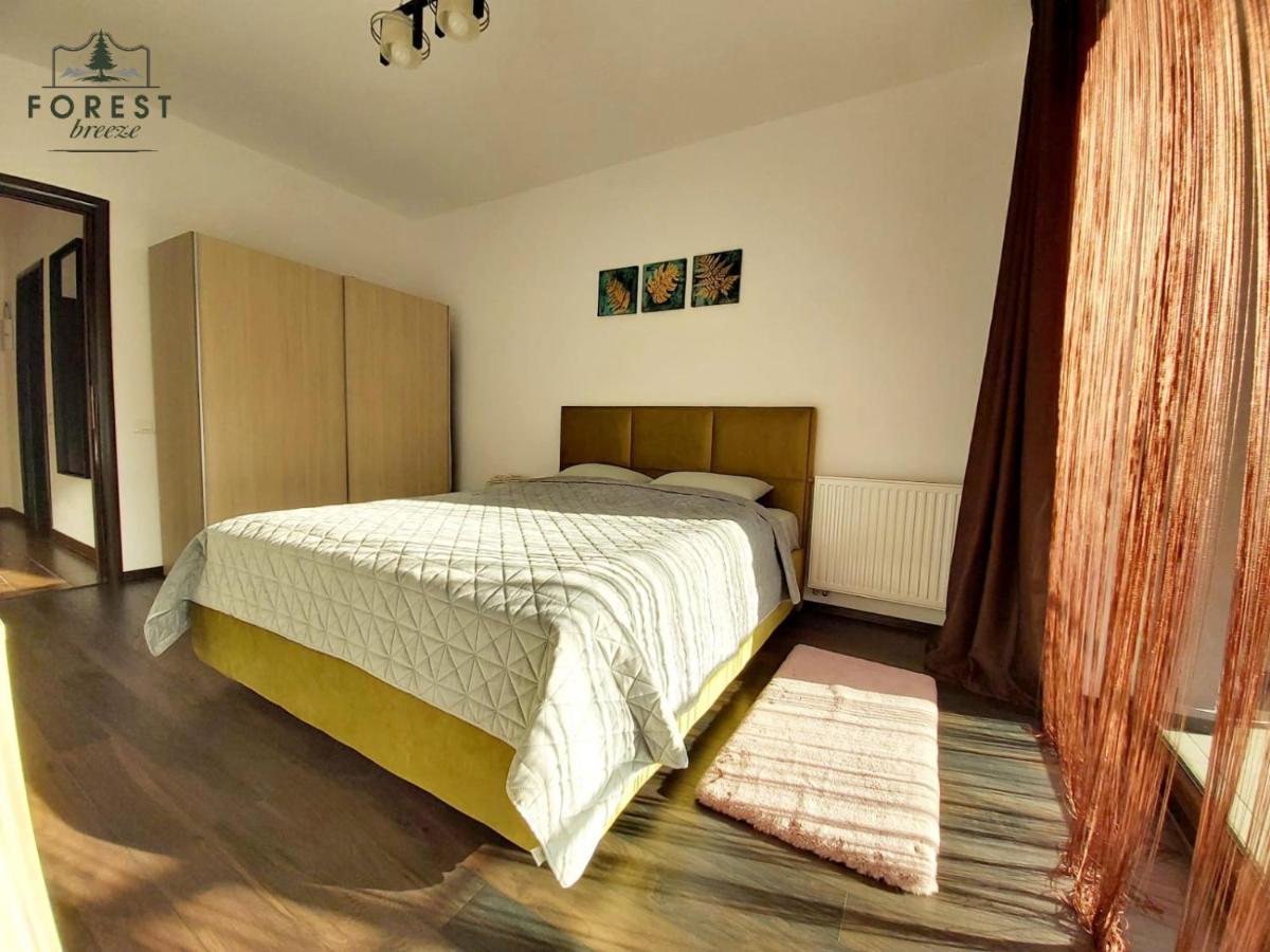 Forest Breeze Apartterrace Brasov Exterior photo