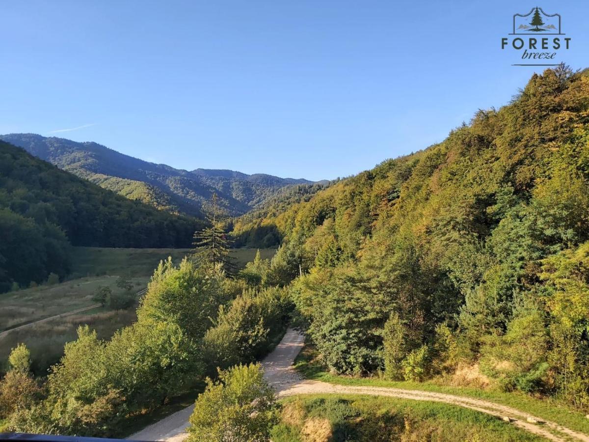 Forest Breeze Apartterrace Brasov Exterior photo