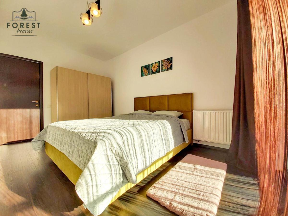Forest Breeze Apartterrace Brasov Exterior photo